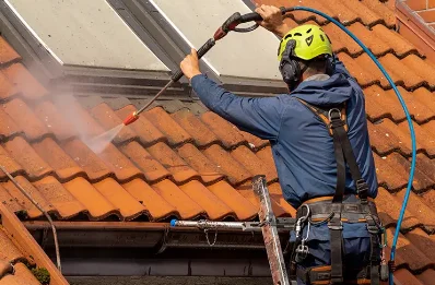 Démoussage et hydrofuge de toiture à Prades-Salars